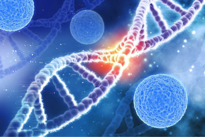 type 2 diabetes risk factors